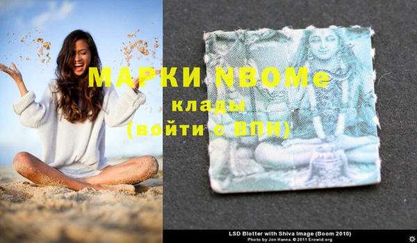 бошки Алексин