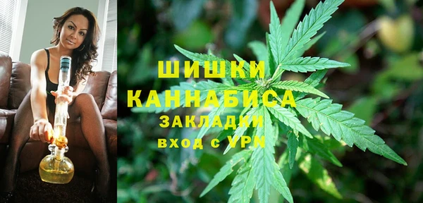 гидра Алексеевка