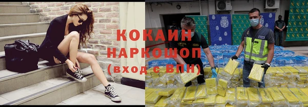бошки Алексин