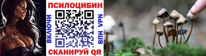 Псилоцибиновые грибы Magic Shrooms  Красноярск 