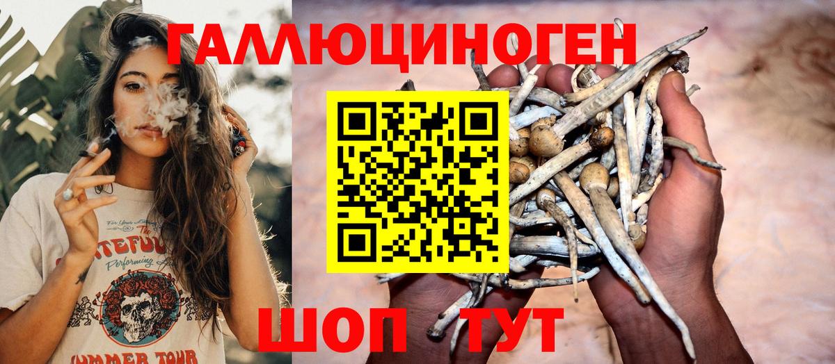 Псилоцибиновые грибы мухоморы Красноярск