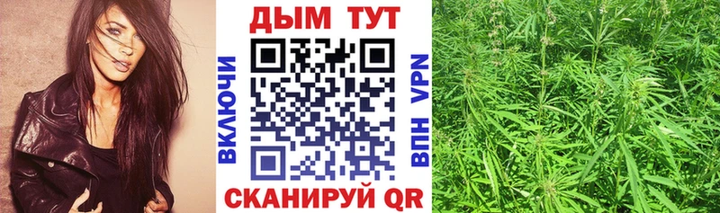 Бошки Шишки конопля  купить наркотик  Красноярск 