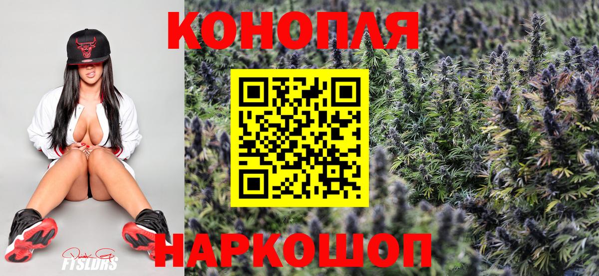 Конопля сатива Красноярск